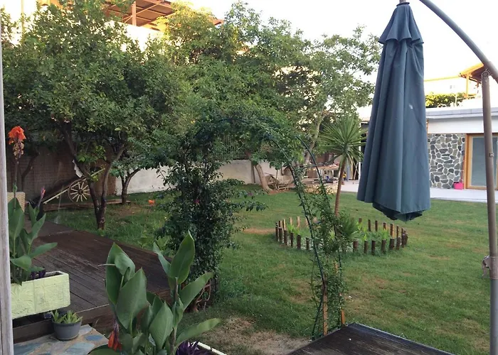 Kleri Beloni Daire *